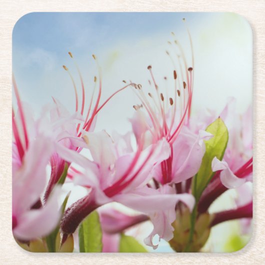 Azaleen Rechteckiger Pappuntersetzer (Vorderseite)