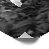 Azaleen / Rhododendren in B&W Poster (Ecke)