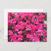 Azaleen-Rhododendron Postkarte (Vorne/Hinten)