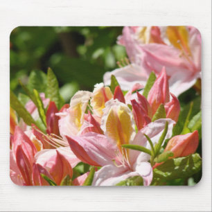 AZALEEN Rosa Azaleenblüten MAUS PADS MAUSPAD