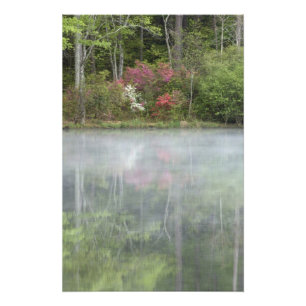 Azaleen spiegeln sich in einem Teich während des f Fotodruck