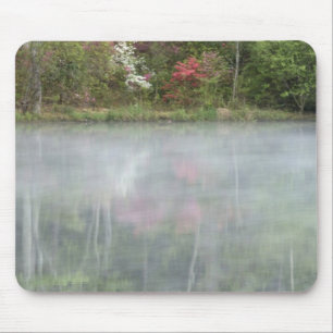 Azaleen spiegeln sich in einem Teich während des f Mousepad