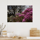 Azalia und Magnolia Poster (Küche)