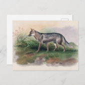 Azaras Fox von Joseph Wolf Postkarte (Vorne/Hinten)