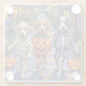 Azawakh Hunde Trick-oder-Treating Halloween-Kostüm Glasuntersetzer (Rückseite)