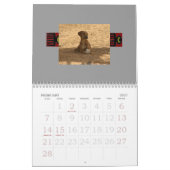 Azawakh Kalender 2010 (Feb 2027)