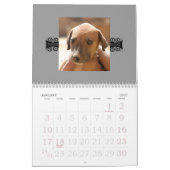 Azawakh Kalender 2010 (Jan 2027)