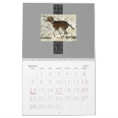 Azawakh Kalender 2010 (Mär 2027)