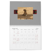 Azawakh Kalender 2010 (Feb 2026)