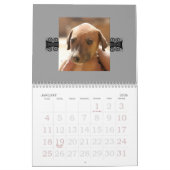 Azawakh Kalender 2010 (Jan 2026)