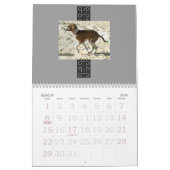 Azawakh Kalender 2010 (Mär 2026)