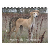 Azawakh-Kalender 2011 Kalender (Titelbild)