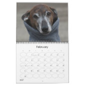 Azawakh Kalender 2016 (Feb 2027)