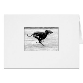 Azawakh Karte 3 durch David Moore