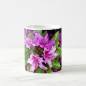 Azelia Tassen (Mittel)