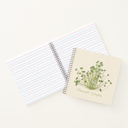 Azetabularia, handgezogen notizblock (Innenseite)