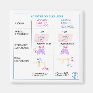 Azidose vs. Alkalosis Magnet (nicht flexibel)