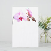 Aziza Orchid Blossoms Briefpapier (Stehend Vorderseite)