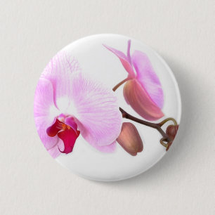 Aziza Orchid Blossoms Button