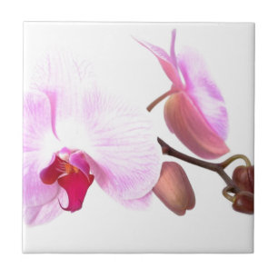Aziza Orchid Blossoms Fliese