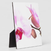Aziza Orchid Blossoms Fotoplatte (Seite)