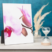 Aziza Orchid Blossoms Fotoplatte (Seite)
