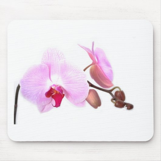 Aziza Orchid Blossoms Mousepad (Vorne)