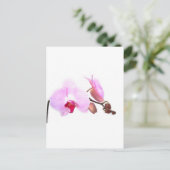 Aziza Orchid Blossoms Postkarte (Stehend Vorderseite)