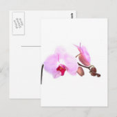 Aziza Orchid Blossoms Postkarte (Vorne/Hinten)