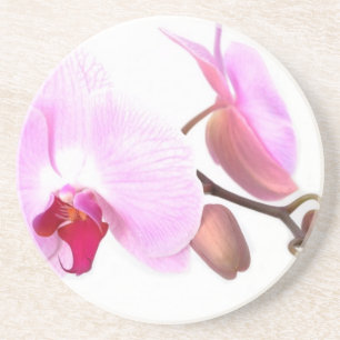 Aziza Orchid Blossoms Sandstein Untersetzer