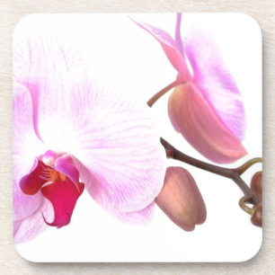 Aziza Orchid Blossoms Untersetzer