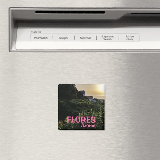 Azoren: Flores Panorama Küche Magnet (In Situ (Geschirrspüler))
