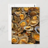 Azoren-Limetten "Lapas" Postkarte (Vorne/Hinten)