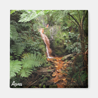 Azoren-Magnet - Caldeira Velha Magnet