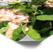 Azoren Poster (Ecke)