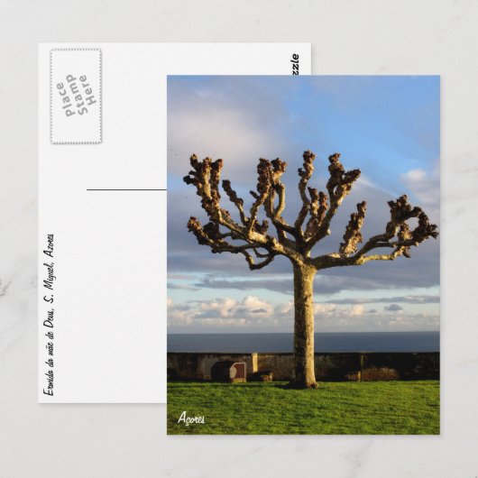 Azores Postcard-Ermida mae de Deus Postkarte (Vorne/Hinten)