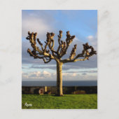 Azores Postcard-Ermida mae de Deus Postkarte (Vorderseite)