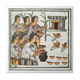 Aztec Food Fliese