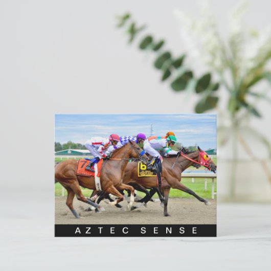 Aztec Sense Postkarte (Stehend Vorderseite)