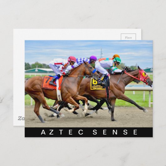 Aztec Sense Postkarte (Vorne/Hinten)