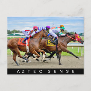 Aztec Sense Postkarte