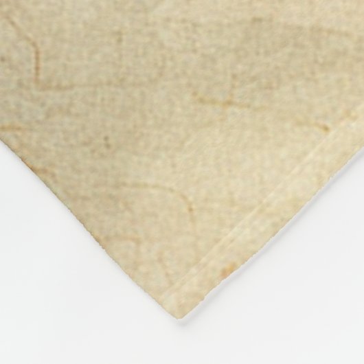 Aztec Tribal Feathers Medicinal Stick Fleecedecke (Ecke)