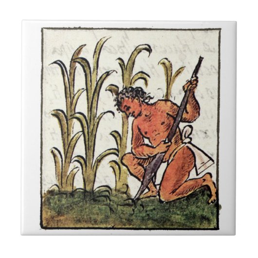 Aztekischer Bauer zum Anbau von Mais Fliese (Vorderseite)