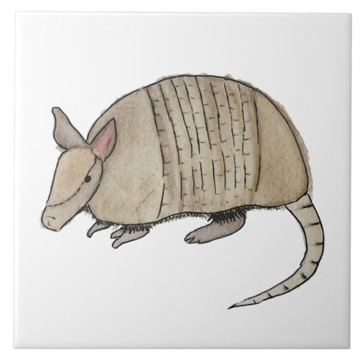 Azulejo de armadillo fliese (Vorderseite)