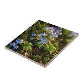 Azulejo de cerámica fliese (Seite)