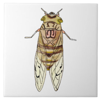 Azulejo de cigarra gigante  fliese