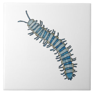 Azulejo de milpies azul  fliese