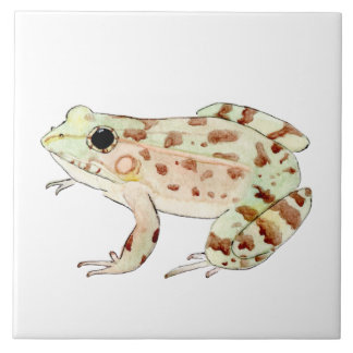Azulejo de rana leopardo  fliese