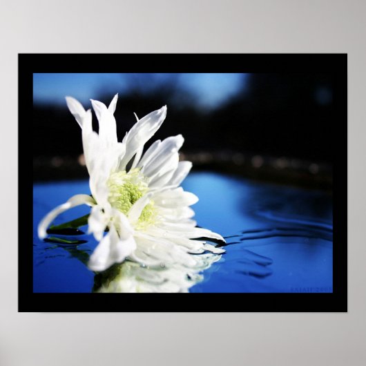 Azura Poster (Vorne)