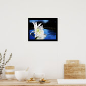 Azura Poster (Küche)